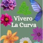 Vivero la Curva